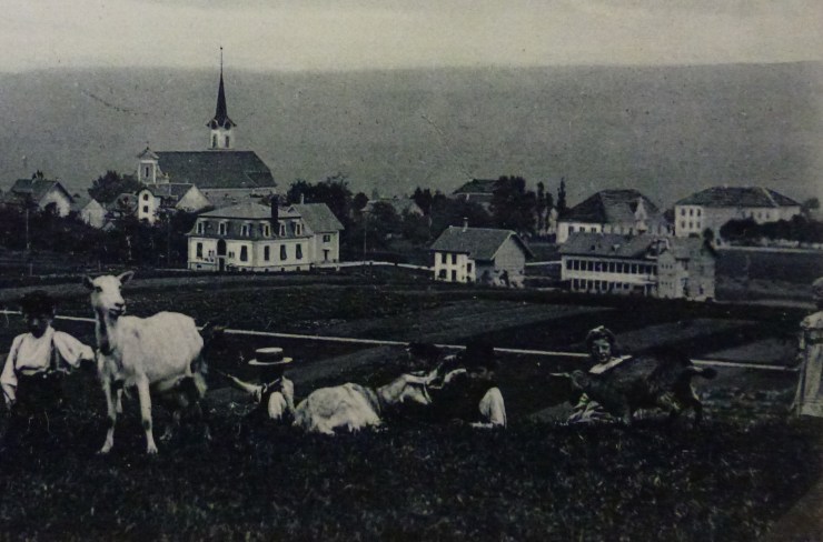 P1040290 Band 16 Grenchen von Norden mit Villa Michel